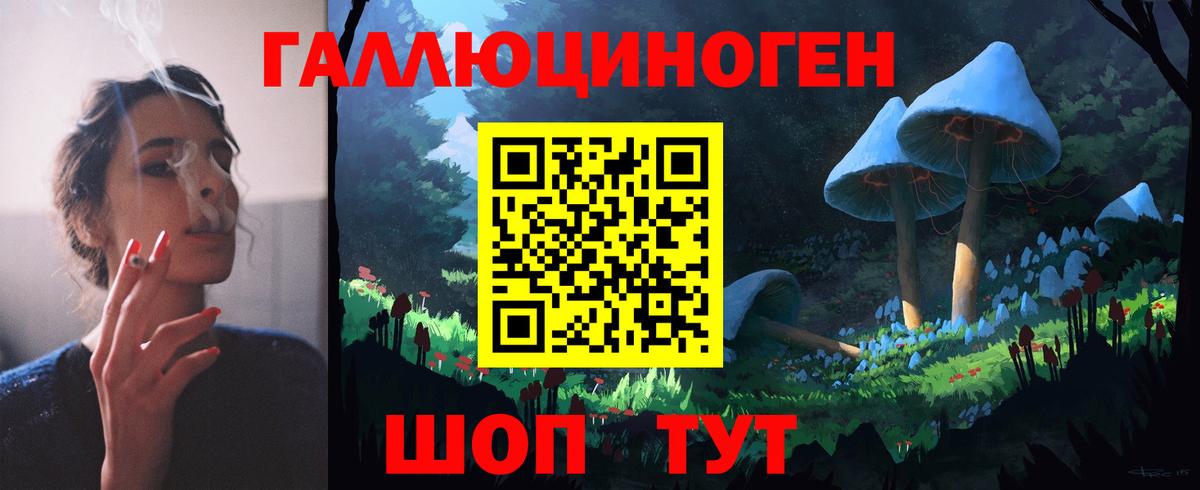 Рассказово  Псилоцибиновые грибы Cubensis  Вход с VPN 